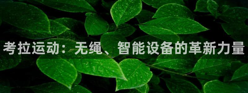 tpwallet官网下载招商:考拉运动:无绳、智能设备的革新